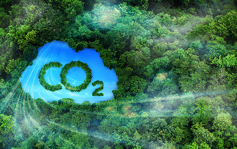 Ökologischer Fußabdruck