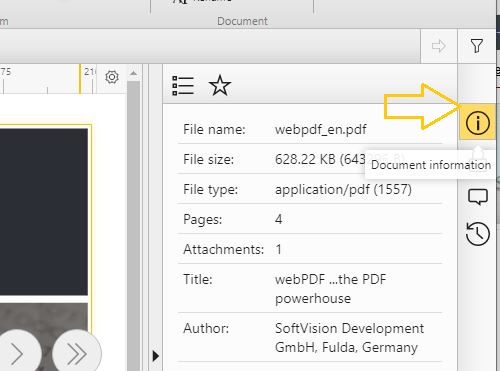 PDF document information in webPDF